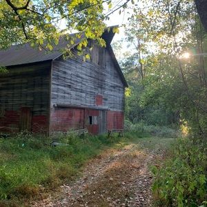 Meet your Posher, Shonda gossett